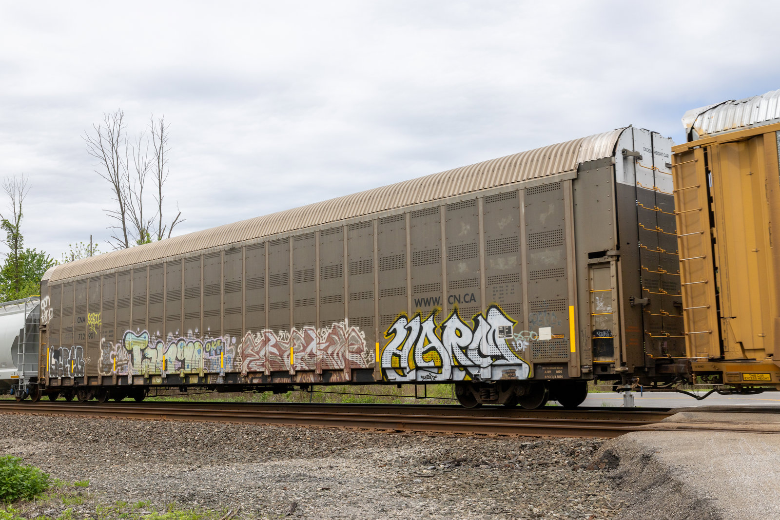 CNA 712901