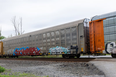 CNA 712886