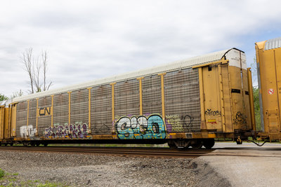CNA 712336