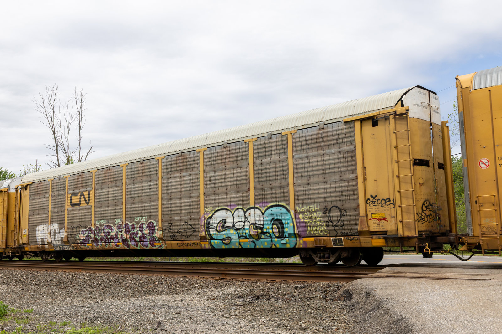CNA 712336