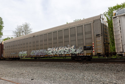CP 546147