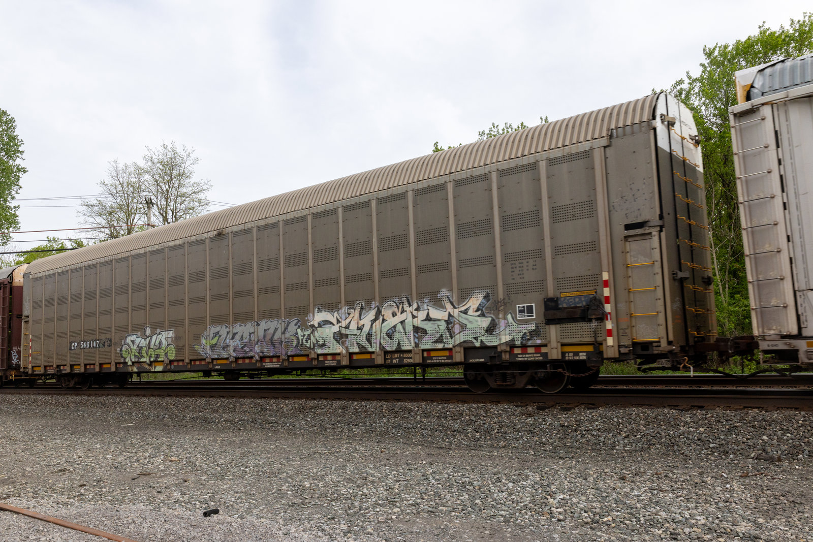 CP 546147
