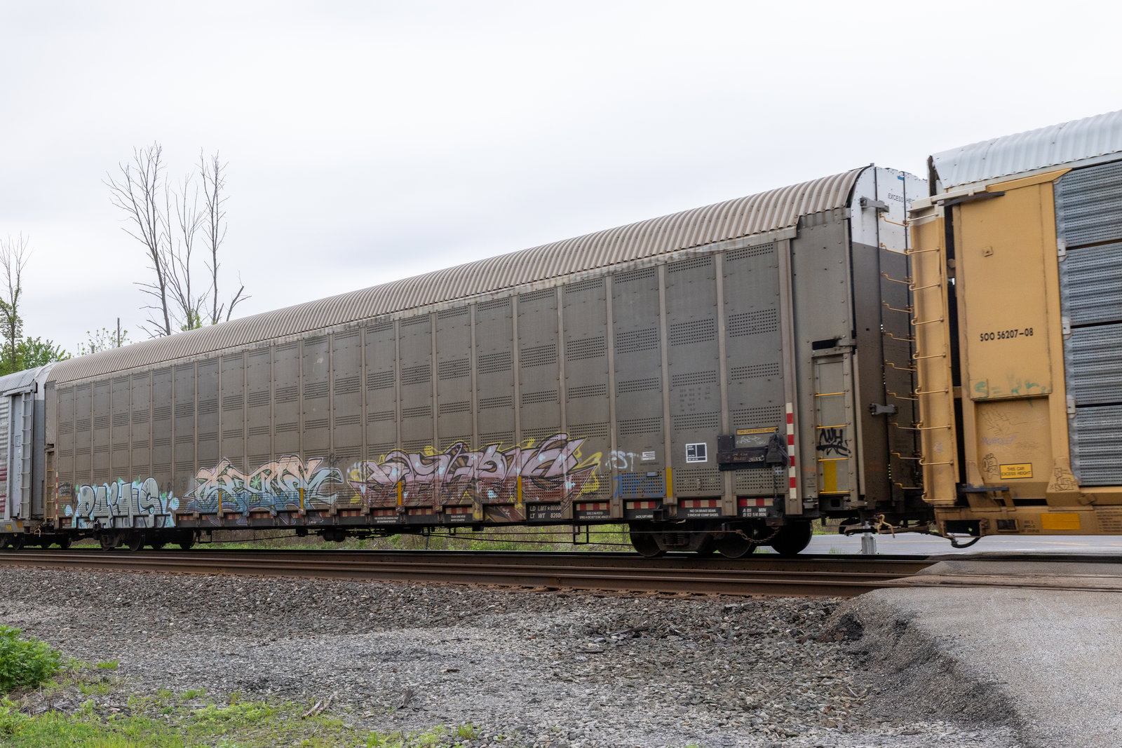 CP 546048