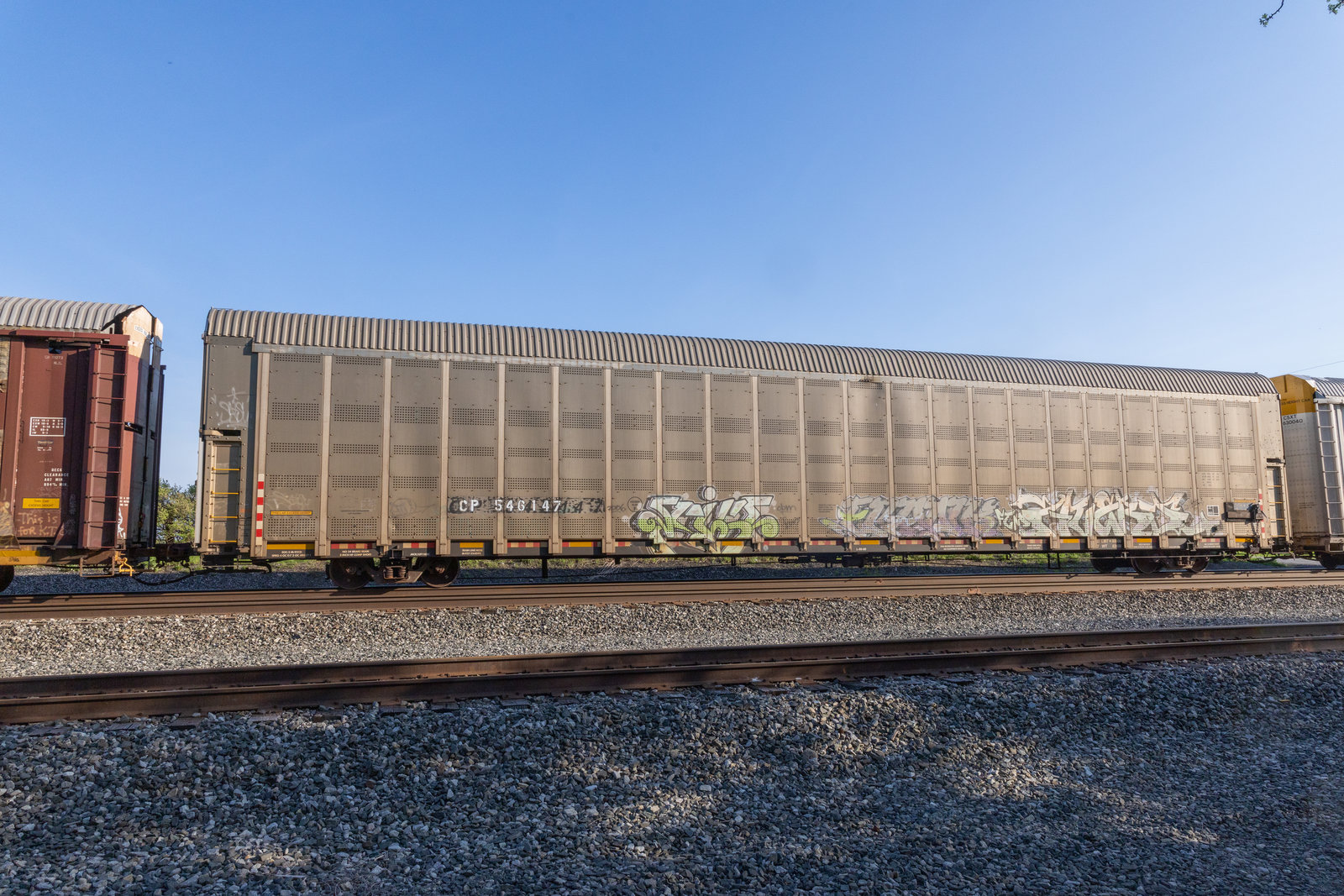 CP 546147