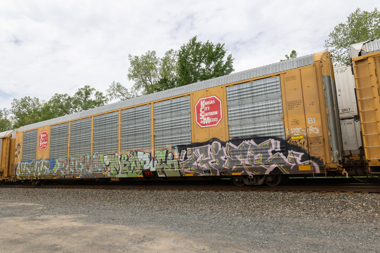 CTTX 695197