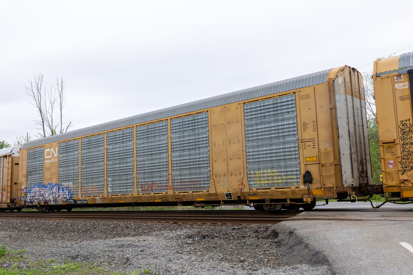 CTTX 690794