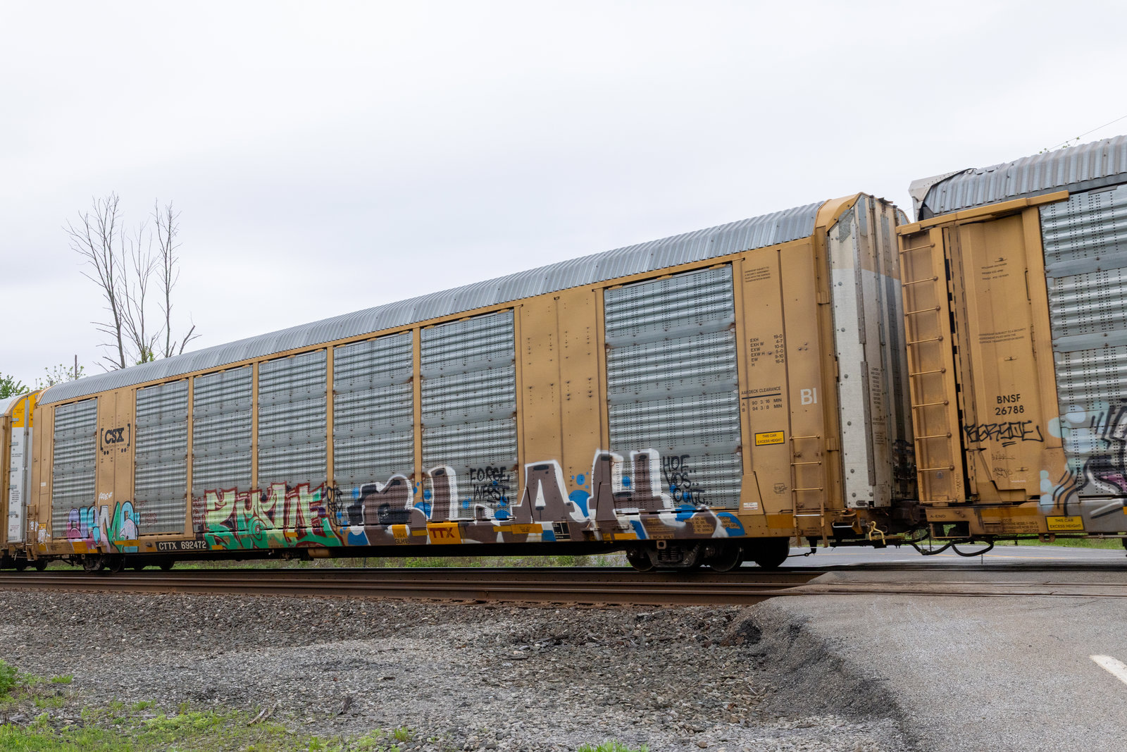 CTTX 692472