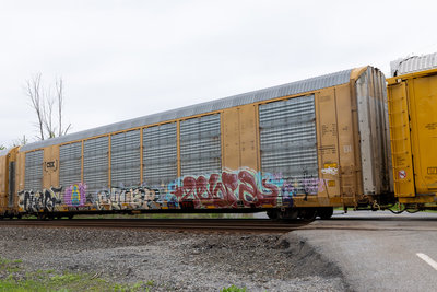 CTTX 692342