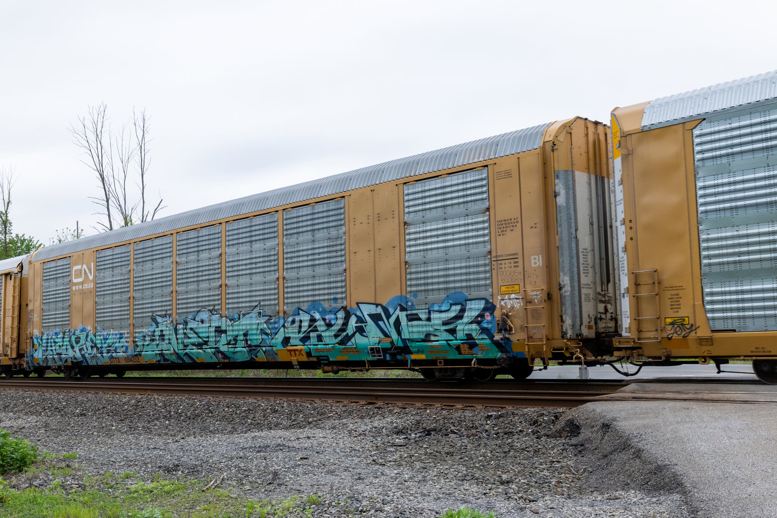 CTTX 694212