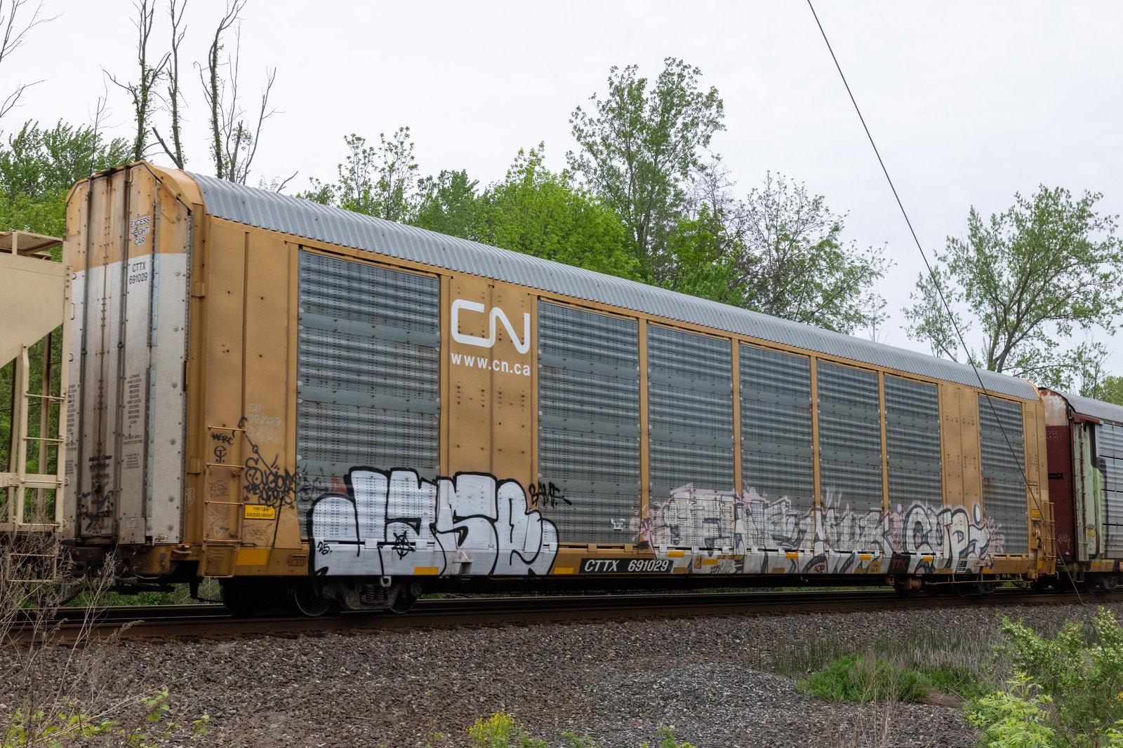 CTTX 691029