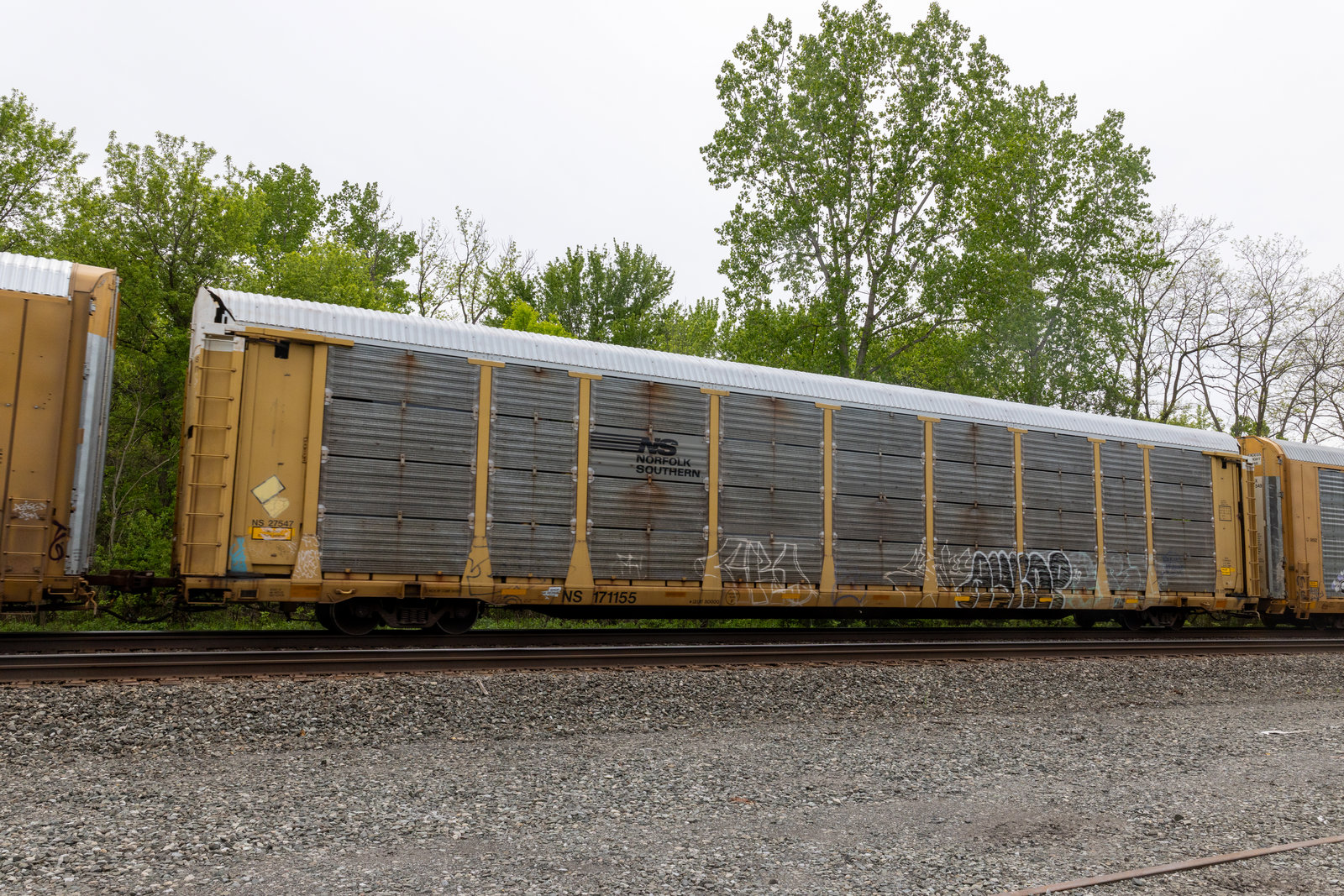 NS 171155