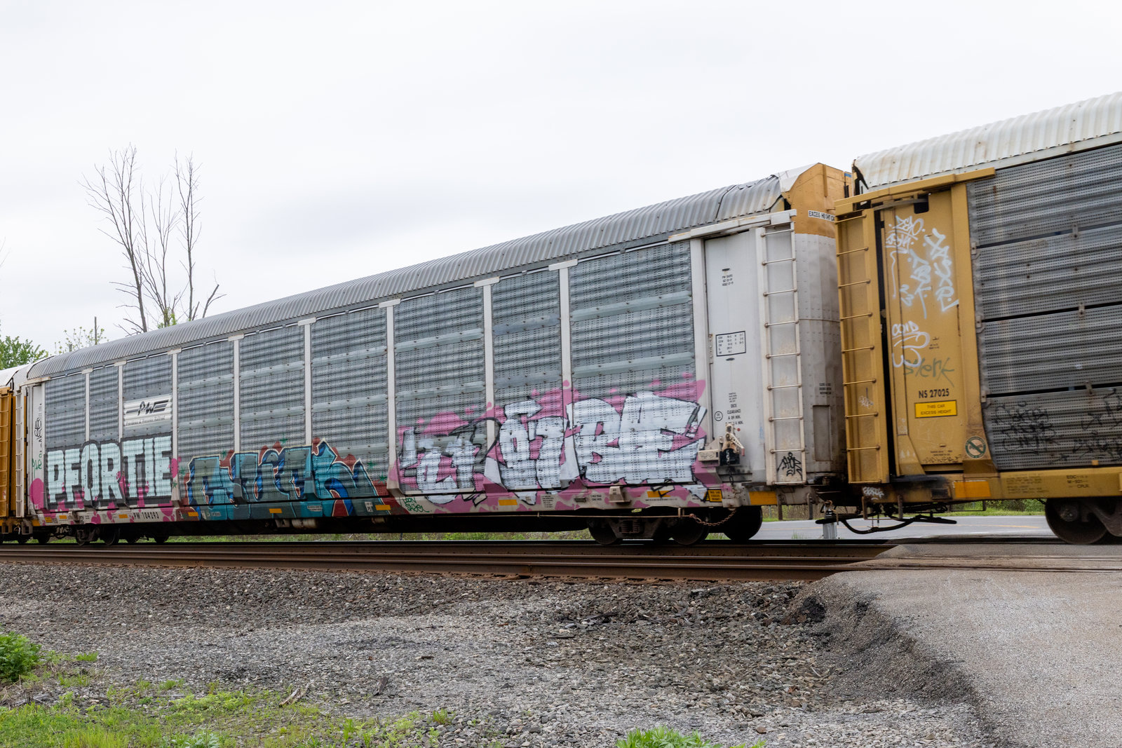 PW 104293