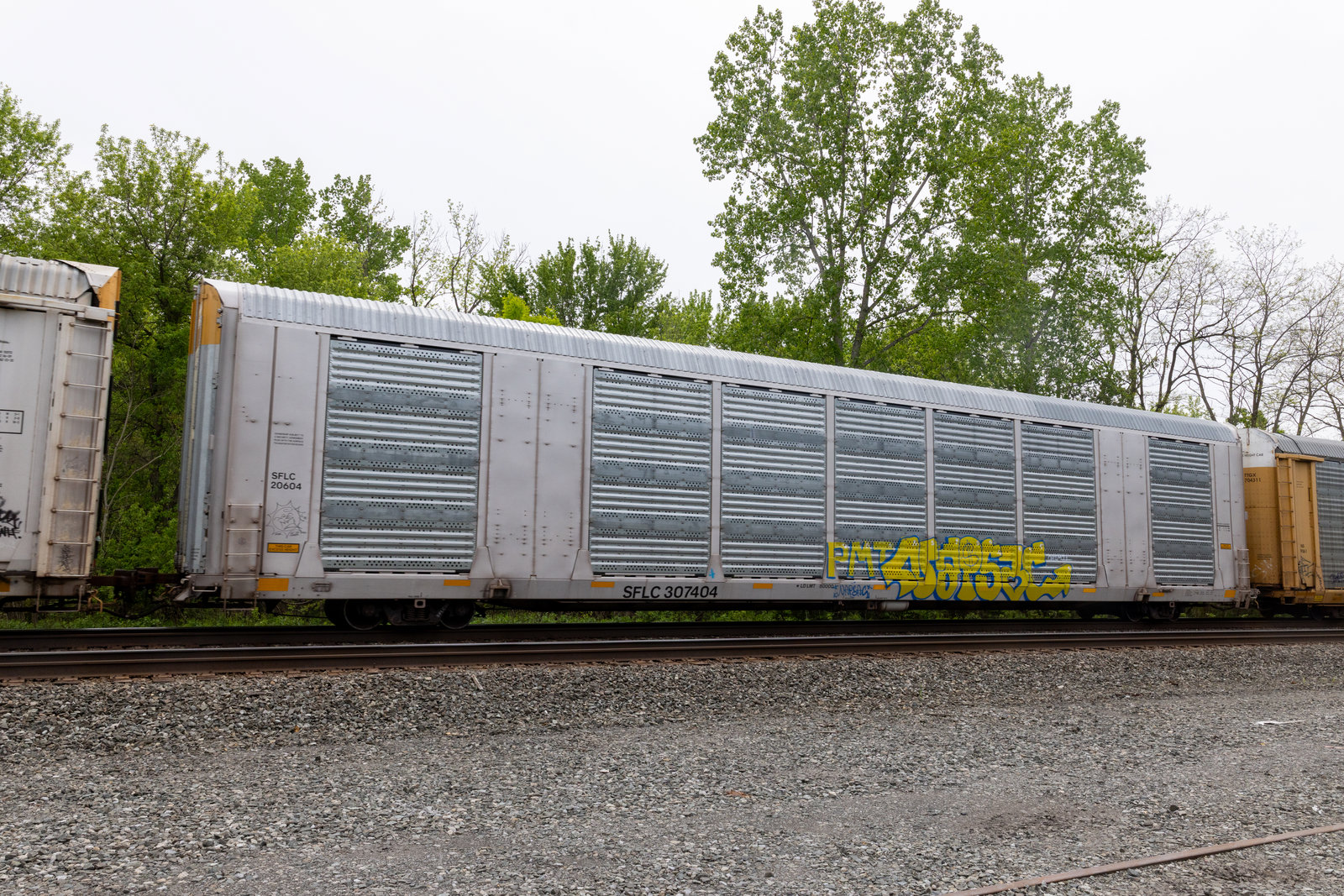 SFLC 307404