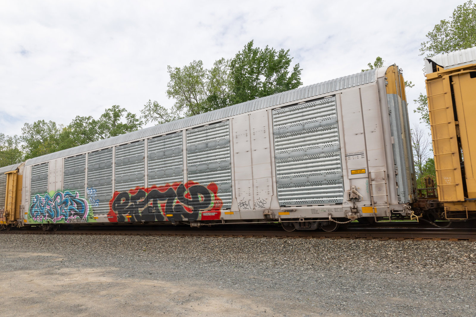 SFLC 307444