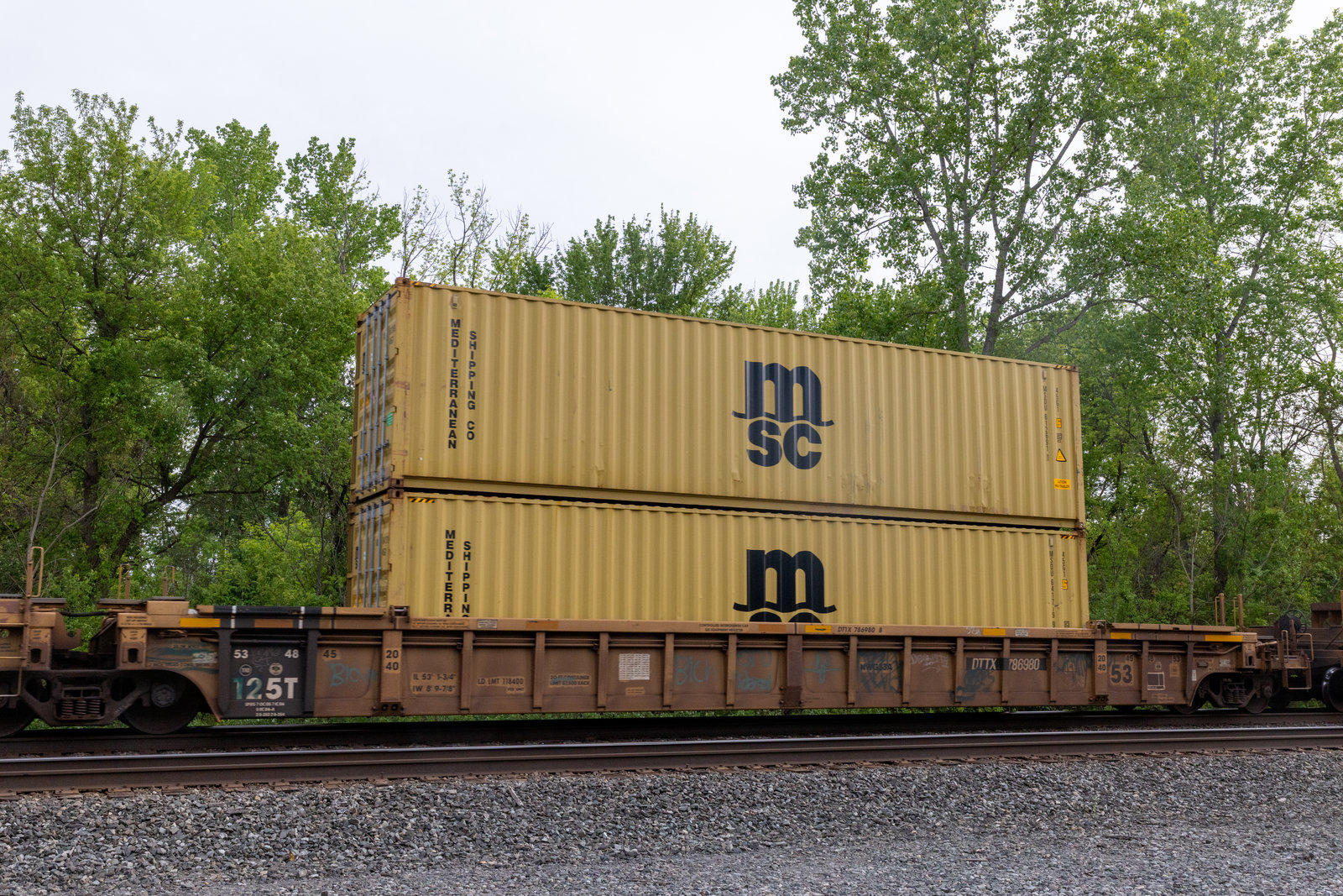 DTTX 786980B