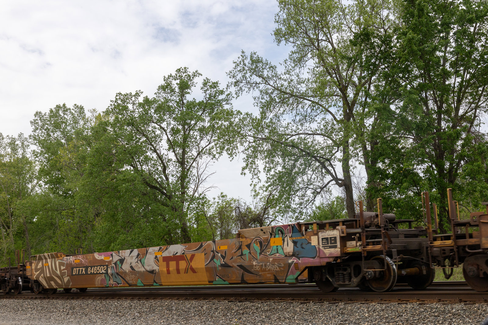DTTX 646502