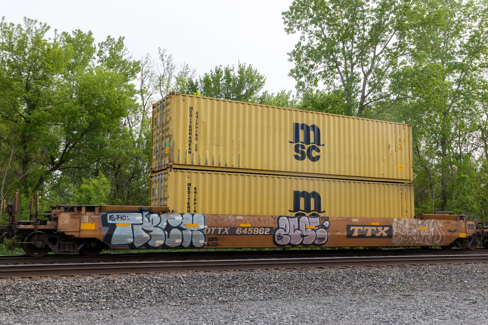 DTTX 645962