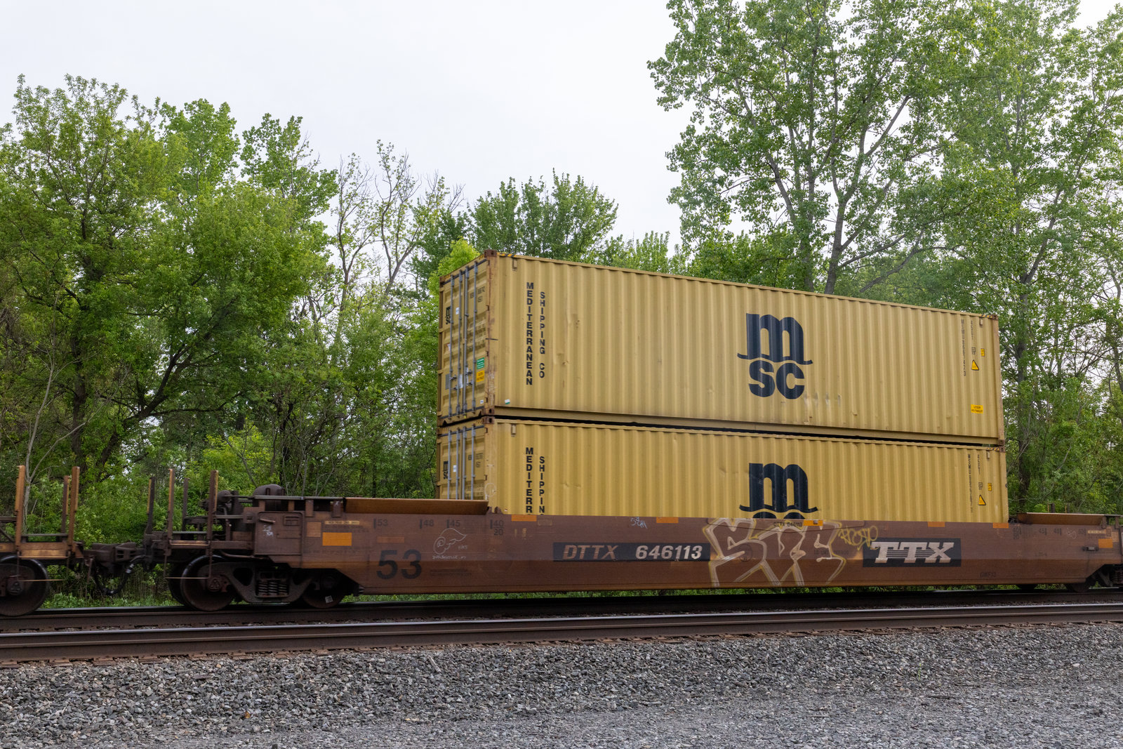 DTTX 646113