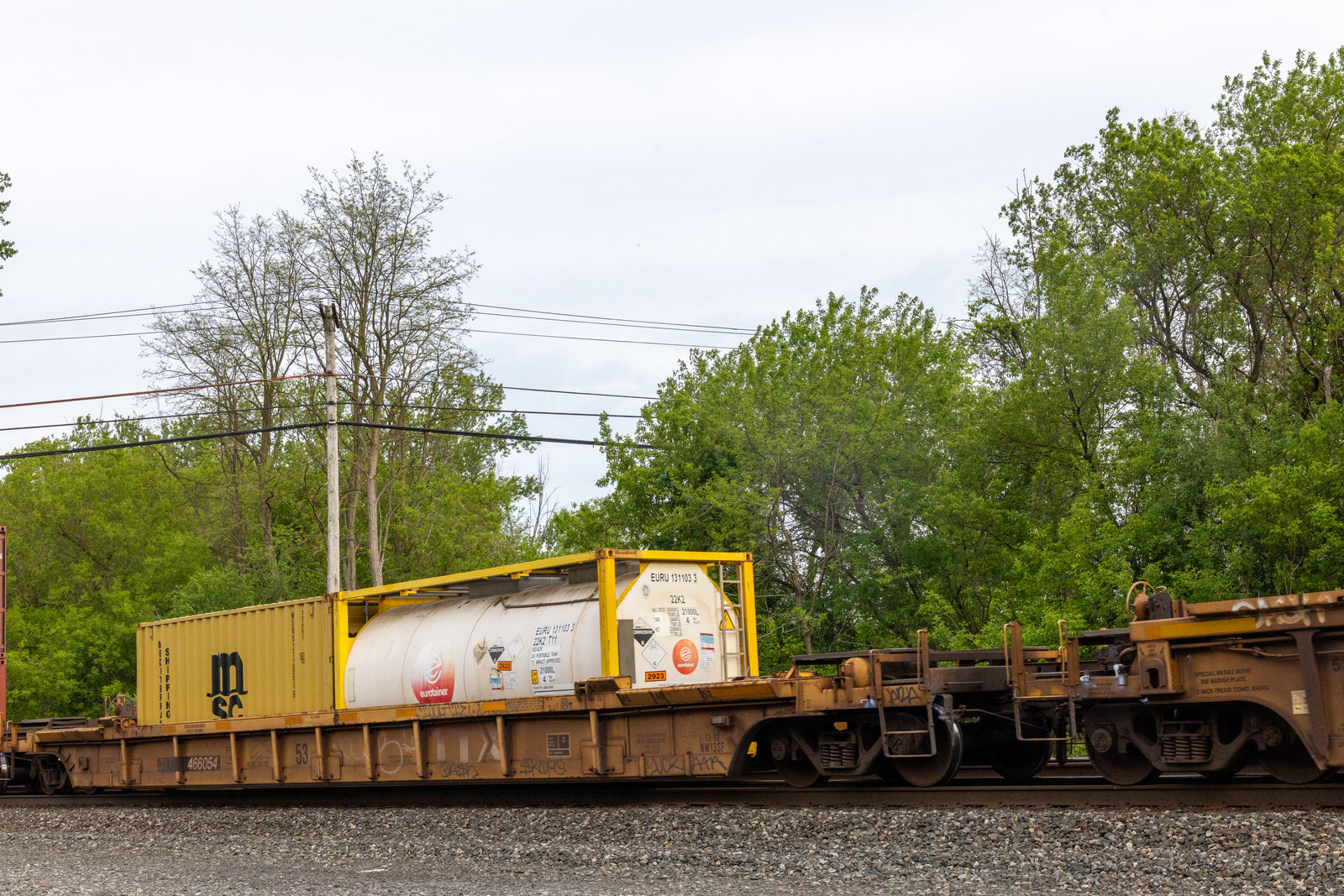 DTTX 466054