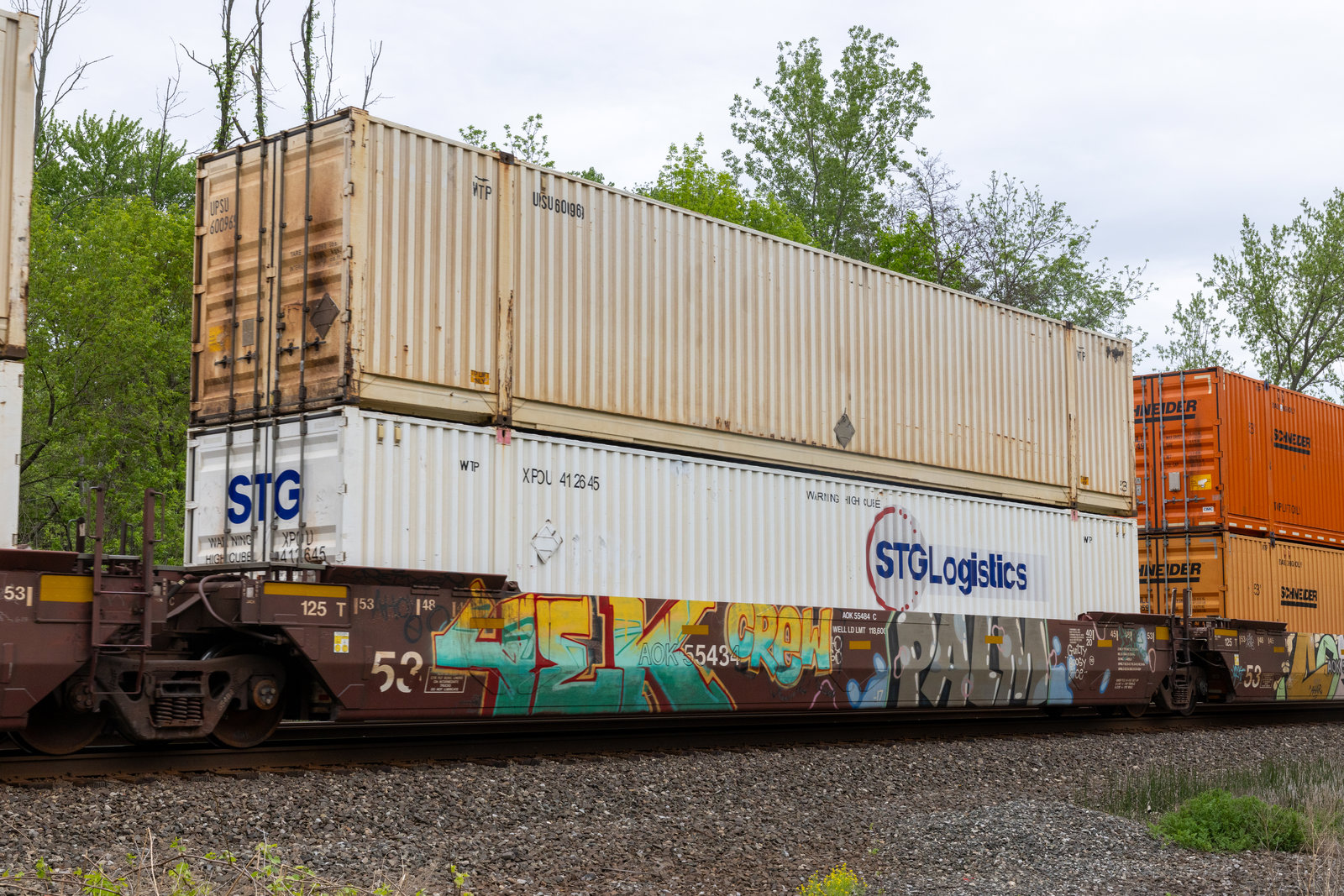 AOK 55484C