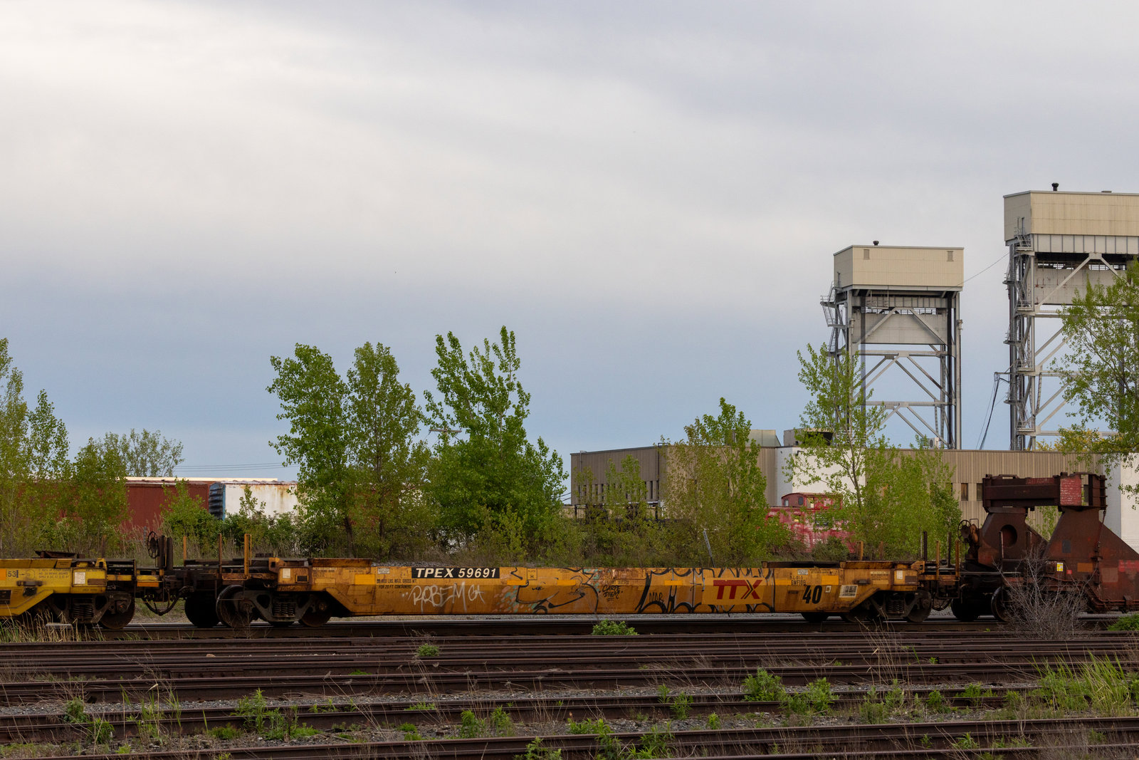 TPEX 59691
