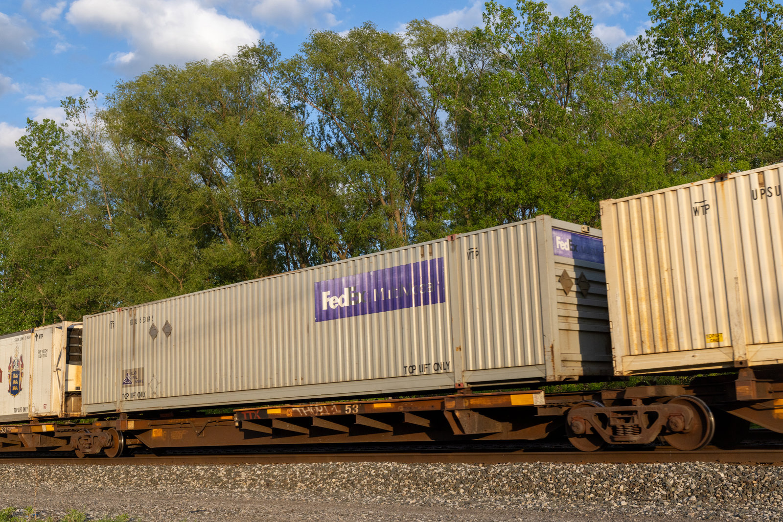 TTAX 553051C