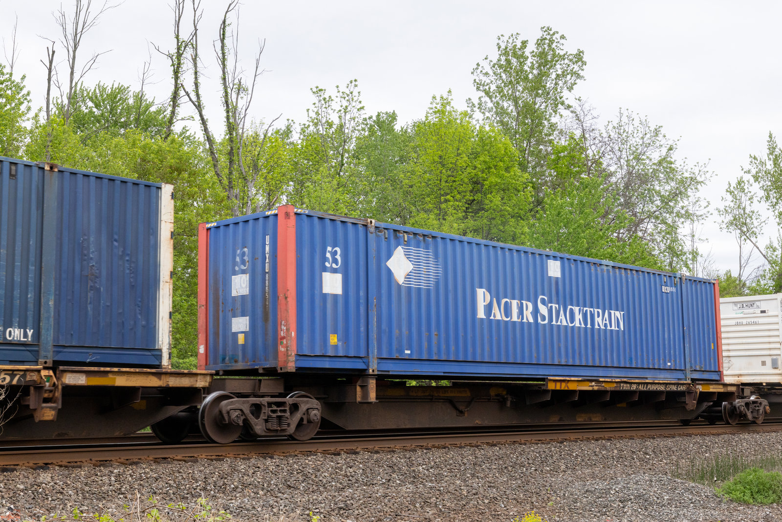 TTRX 370552C