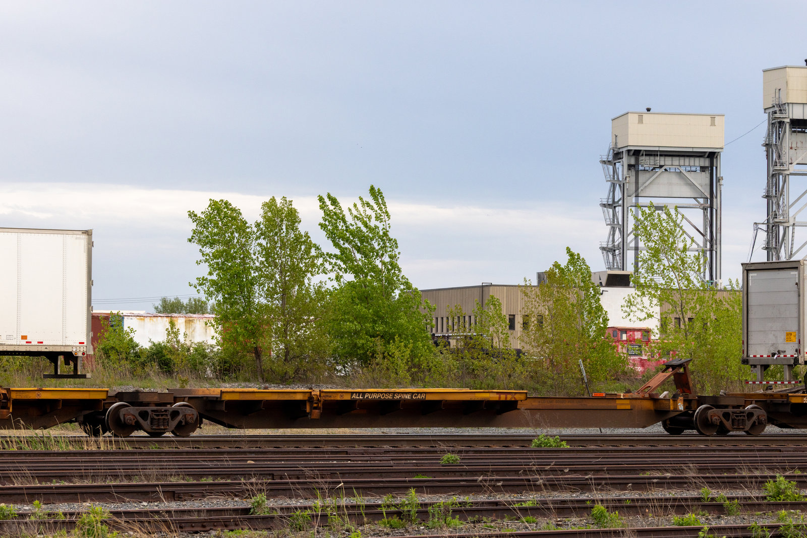 TTRX 552196C