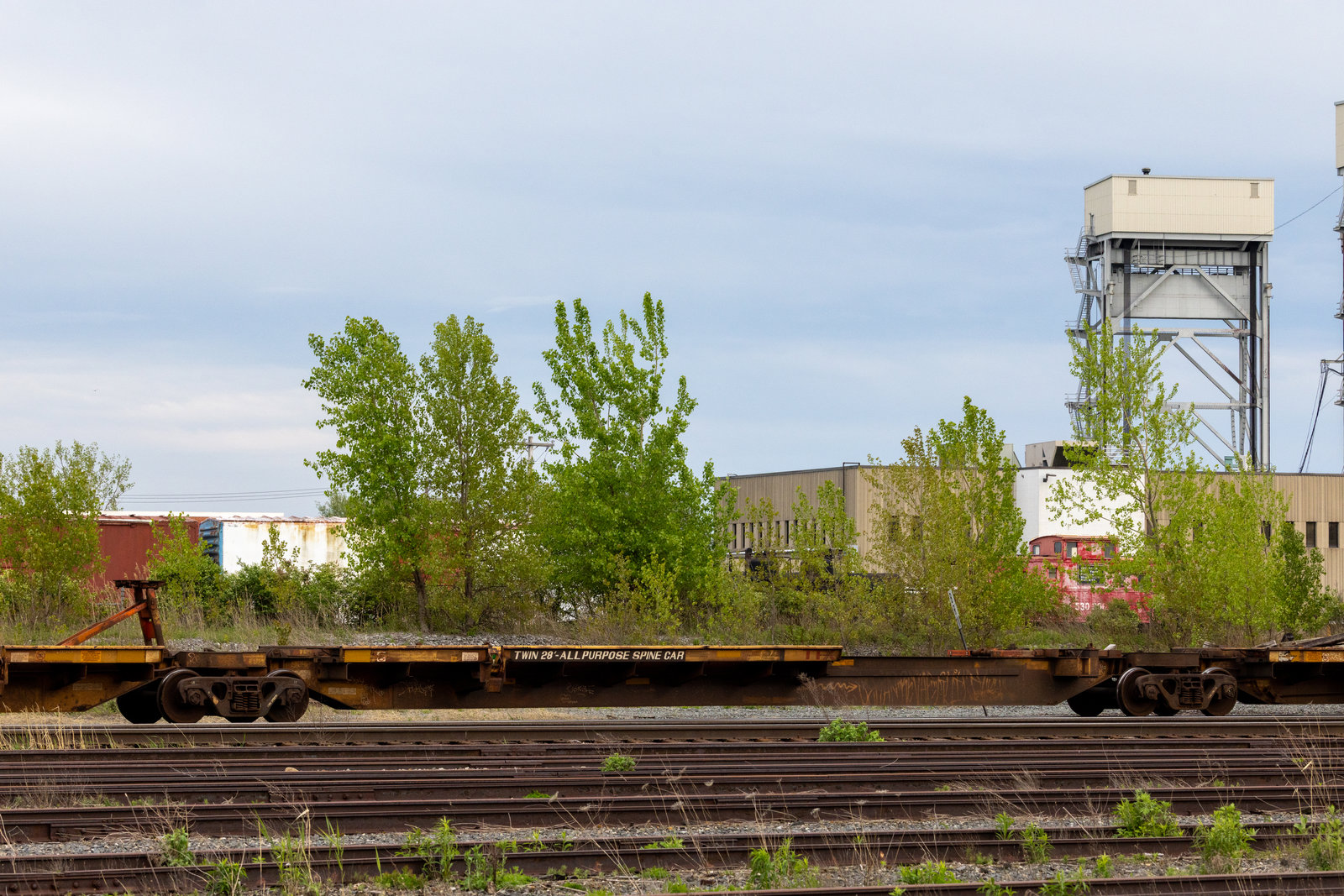 TTRX 370236C