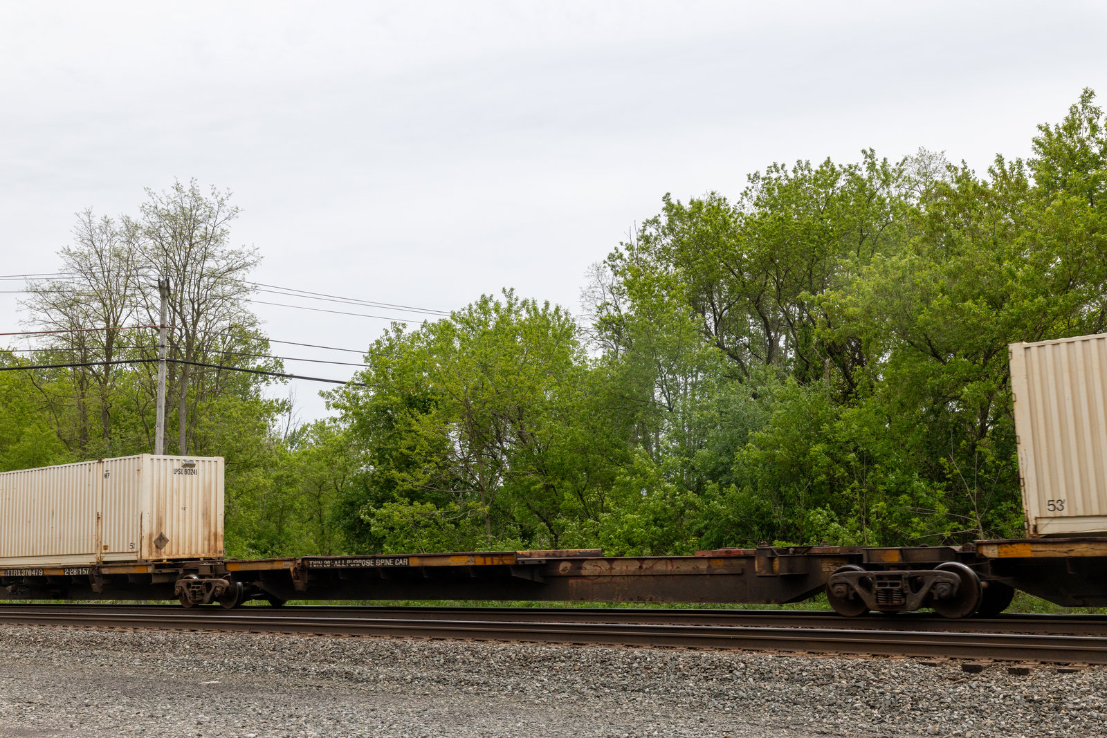 TTRX 370479C