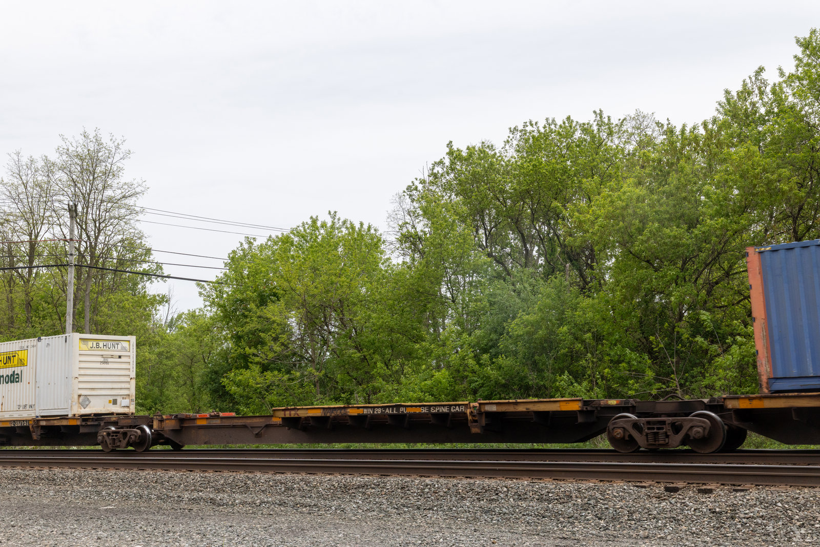 TTRX 370833C