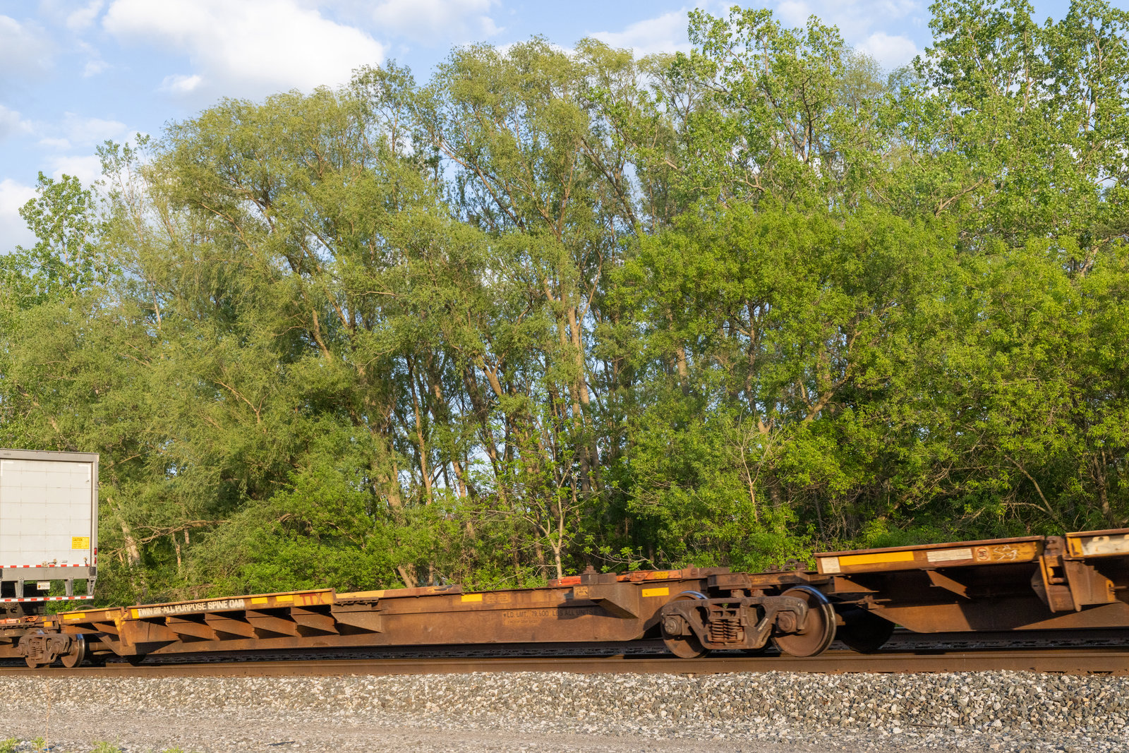 TTRX 360989C