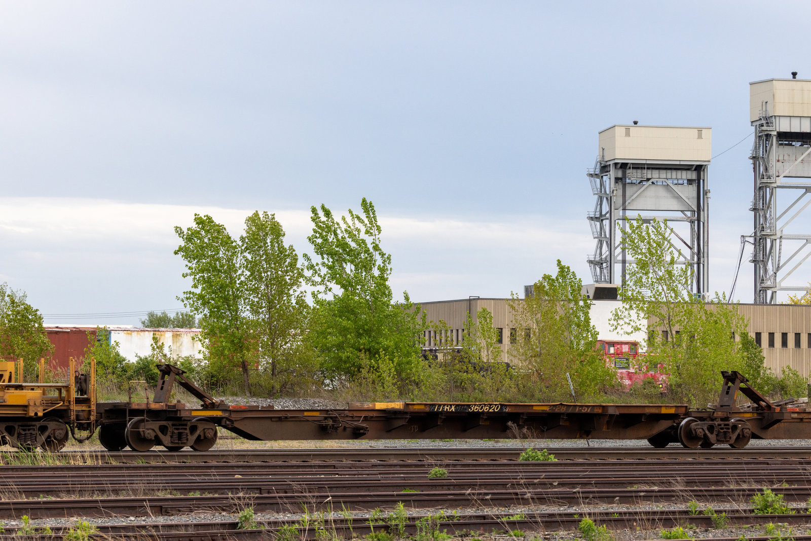 TTRX 360620B