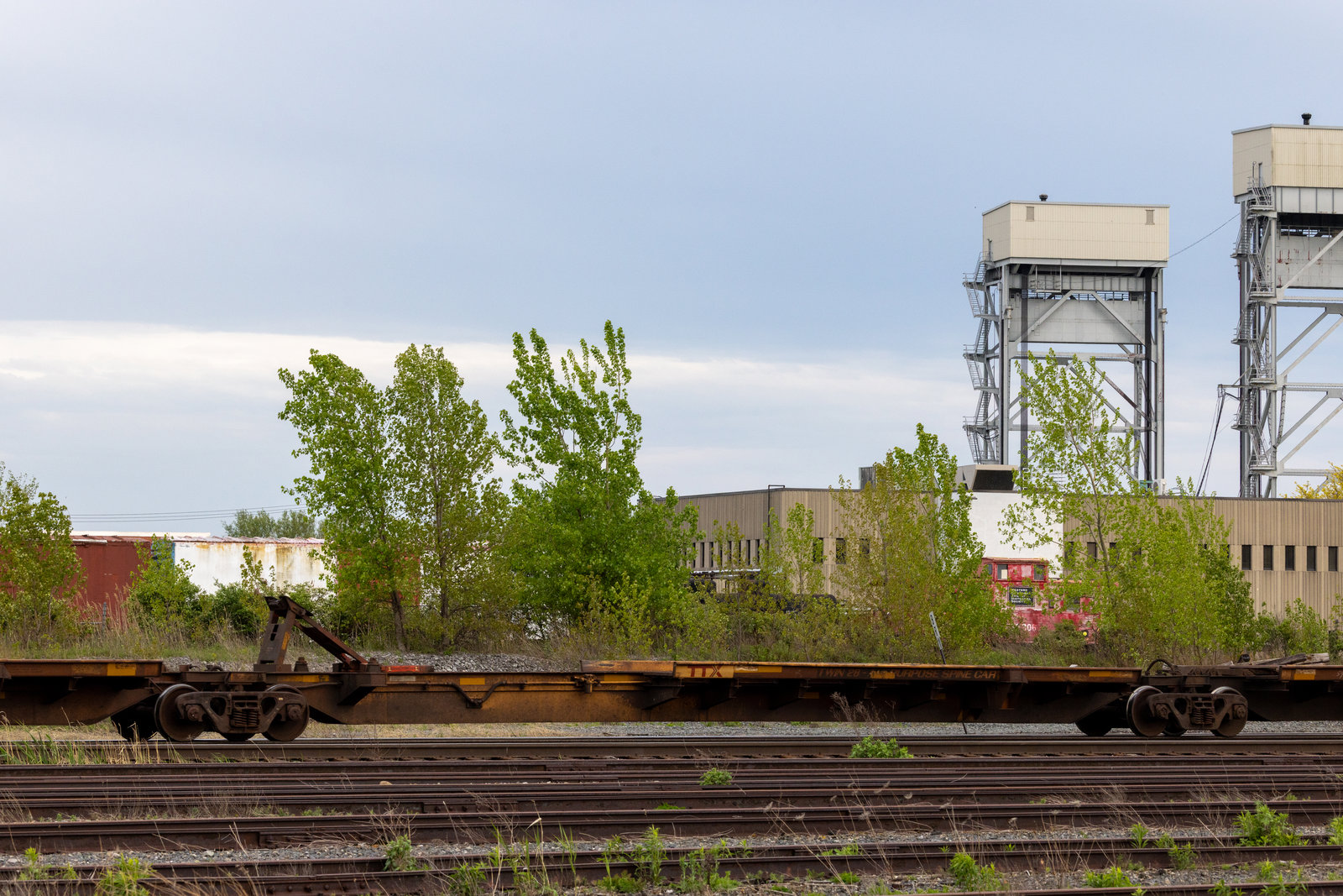 TTRX 360620C