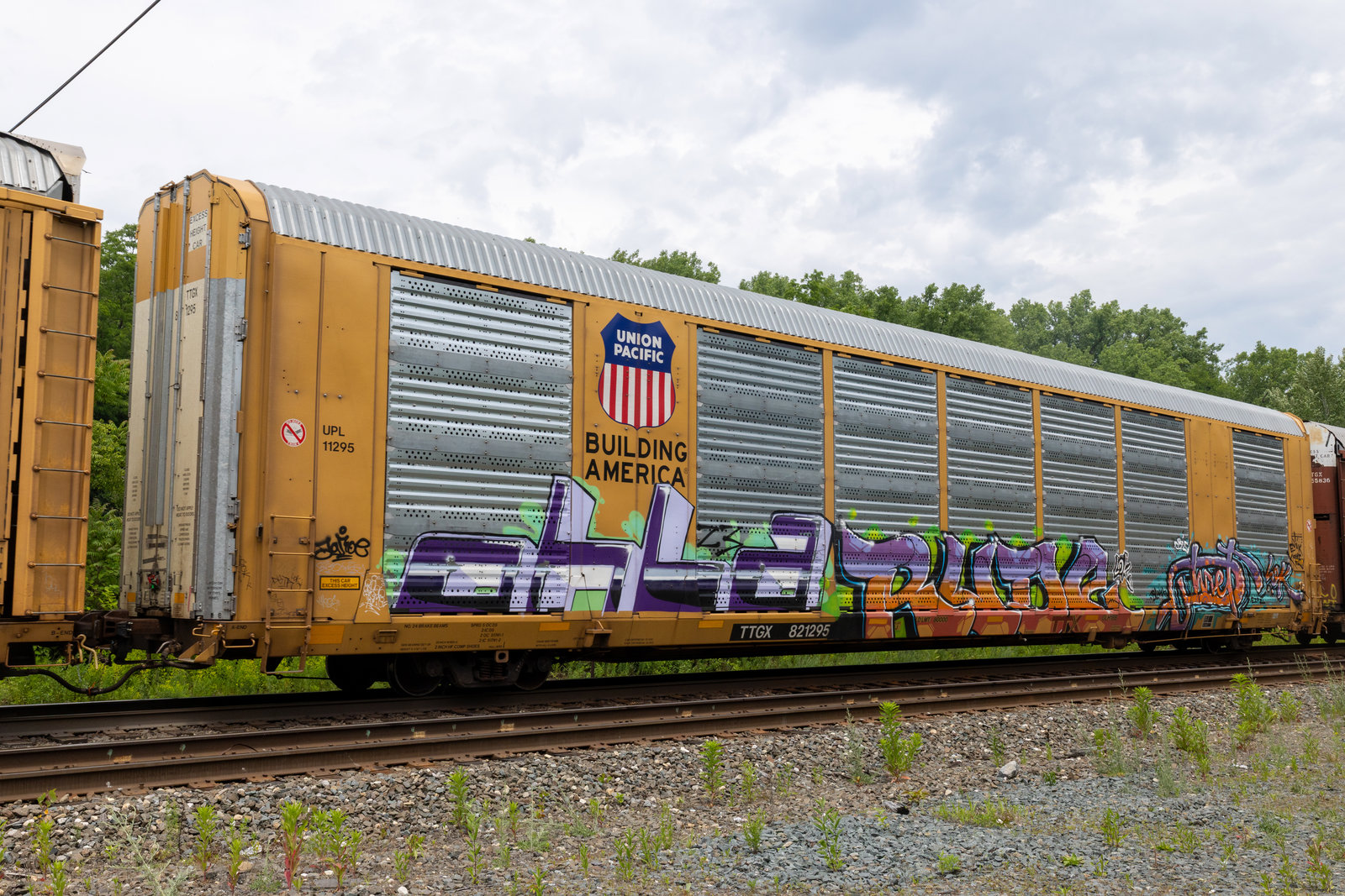 TTGX 821295