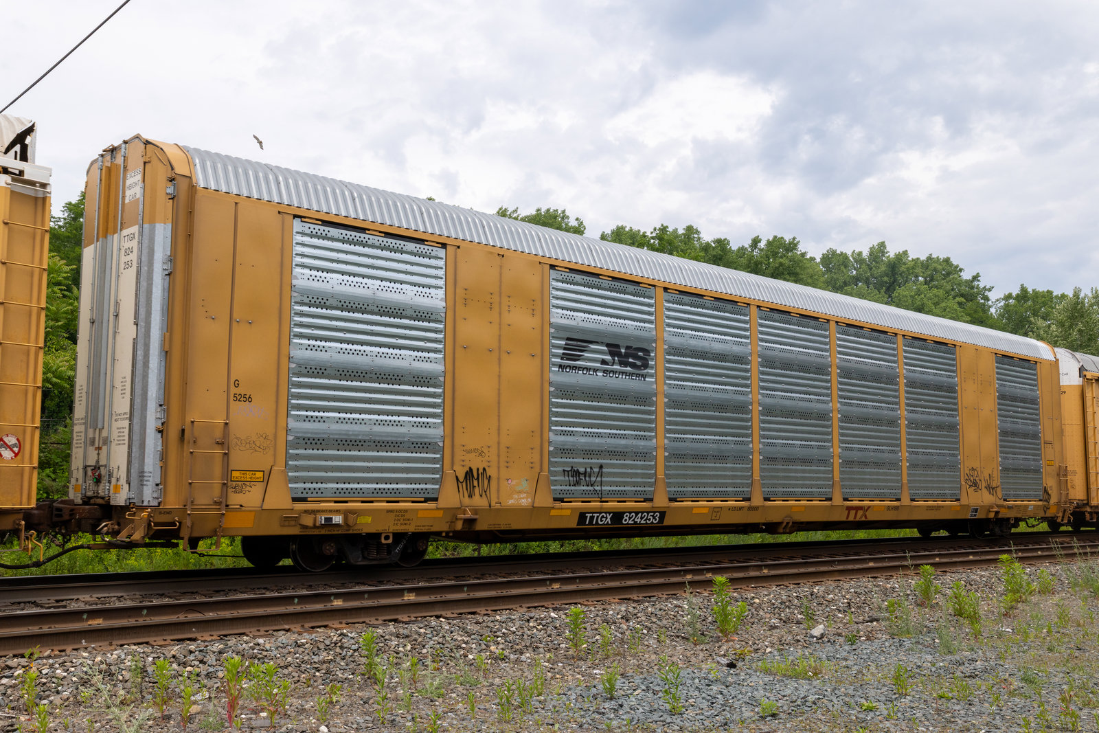TTGX 824253