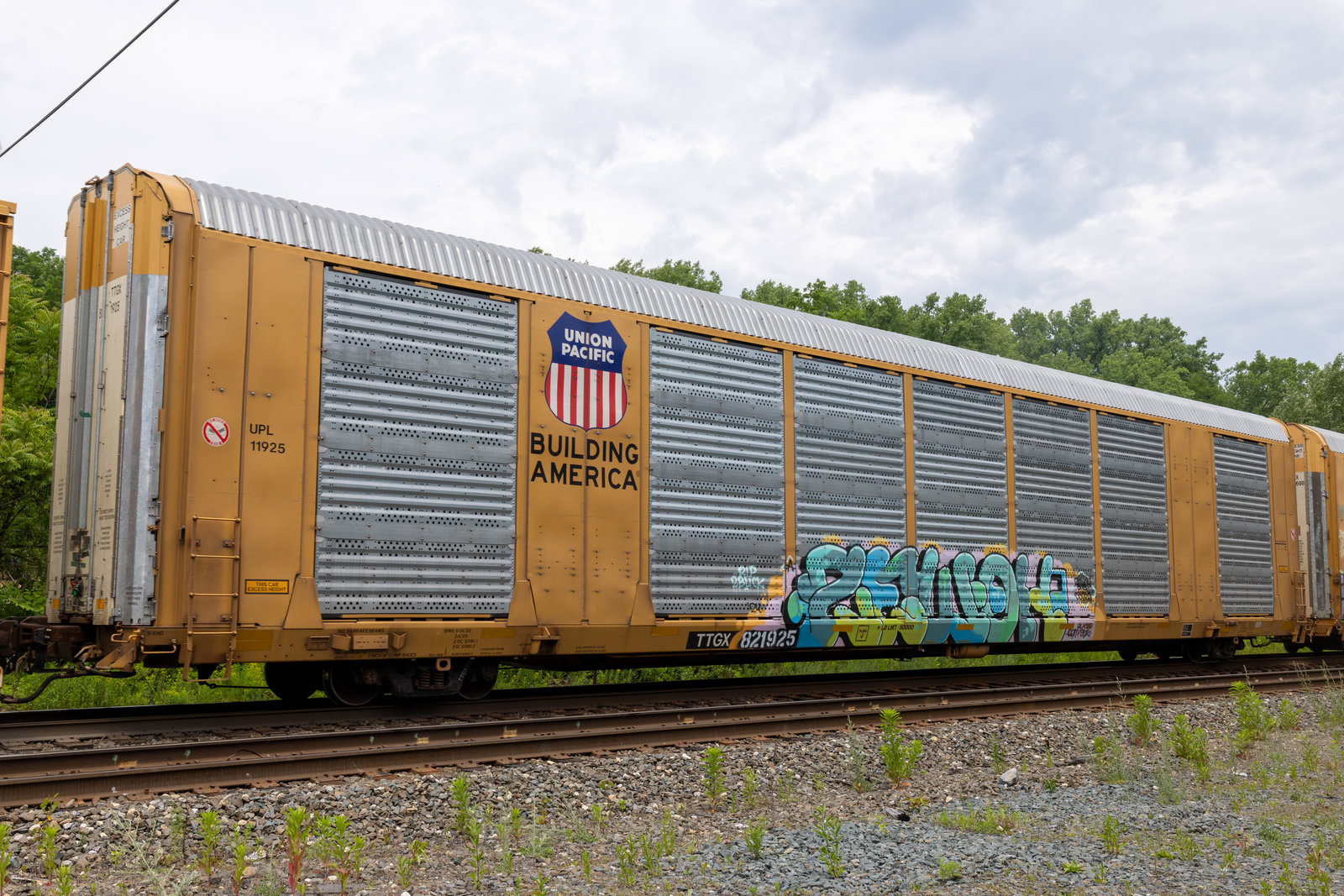 TTGX 821925
