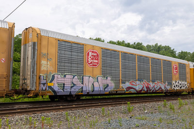 TTGX 695698
