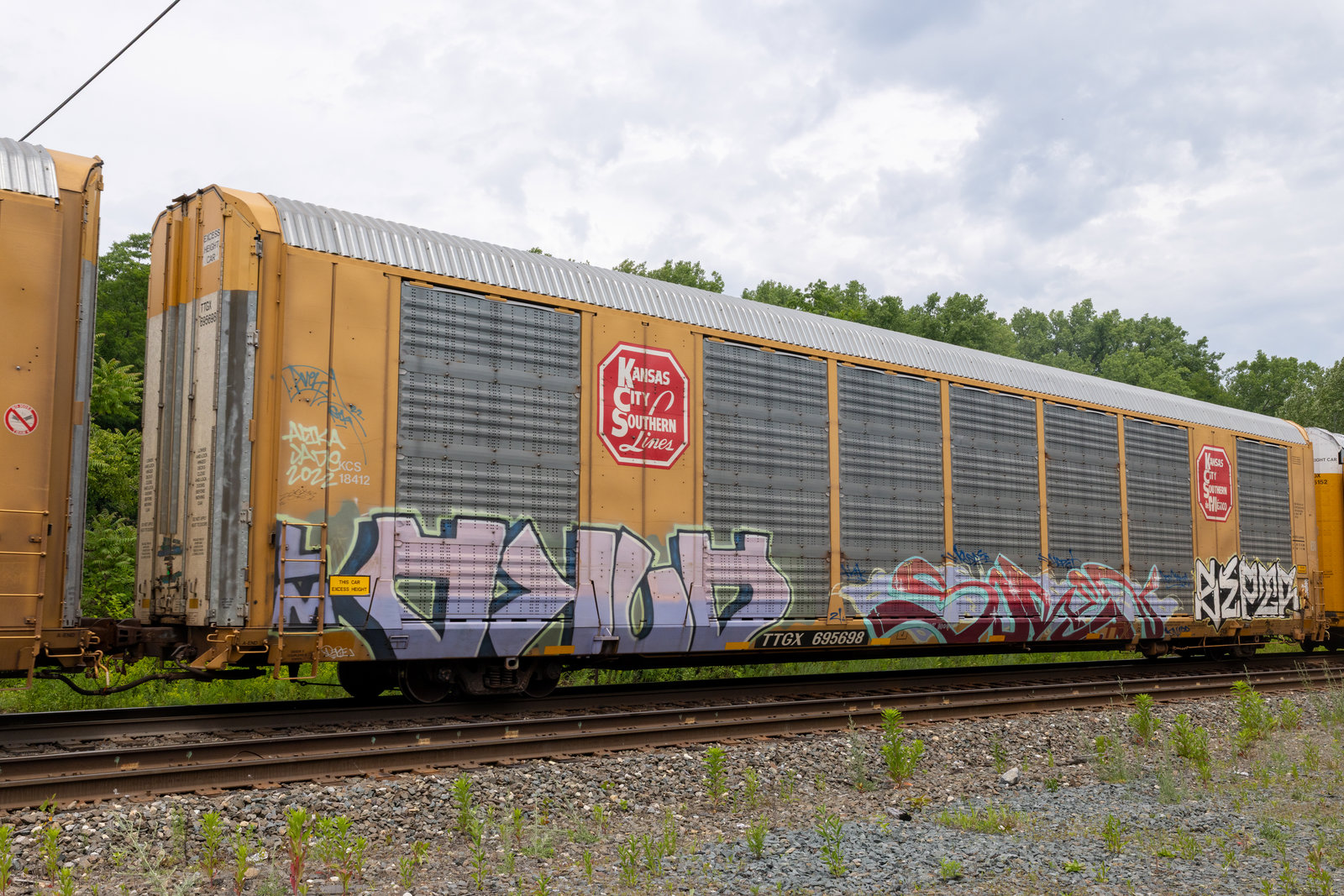 TTGX 695698