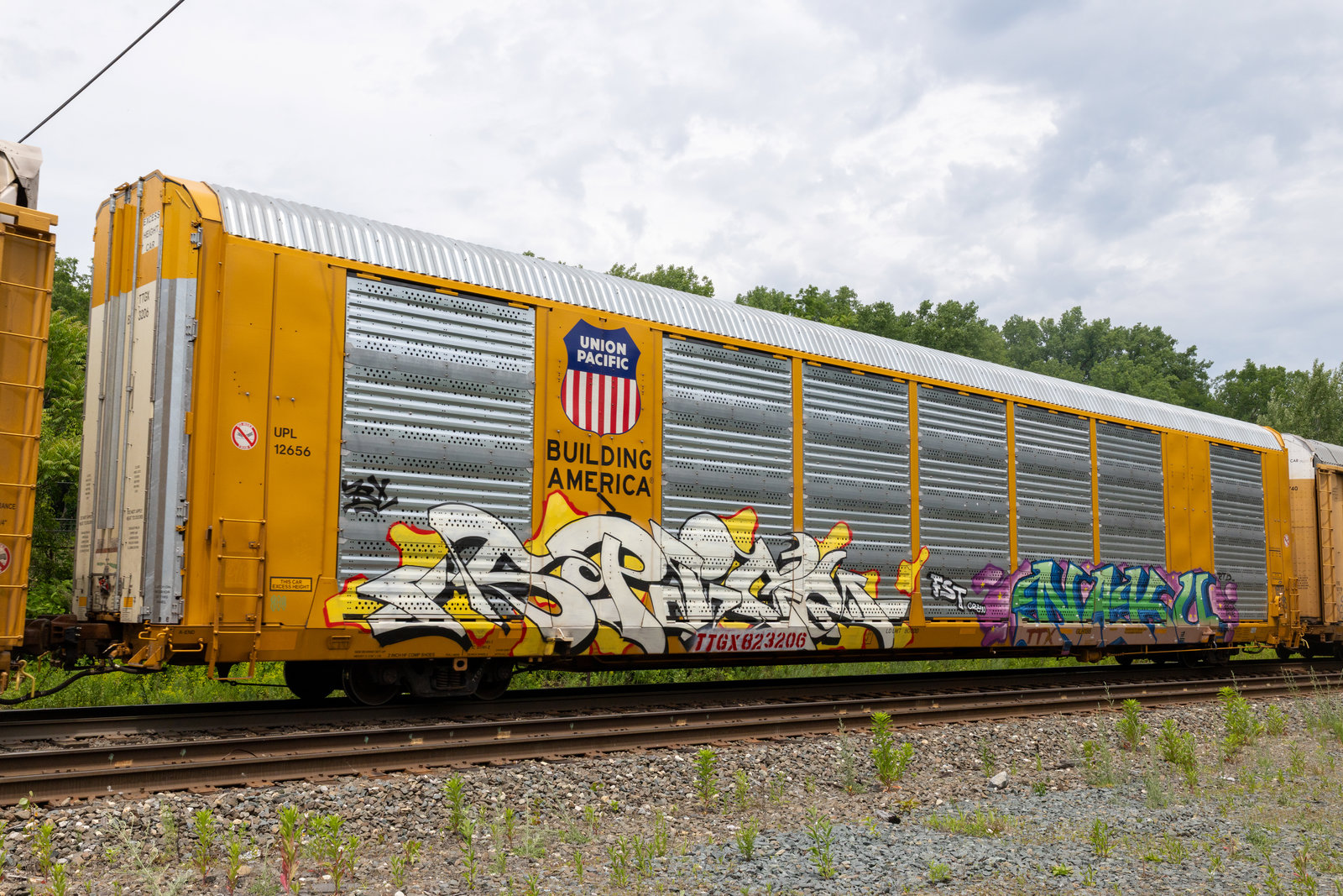 TTGX 823206