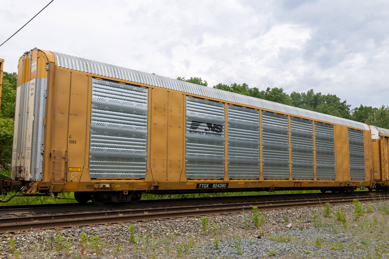 TTGX 824280