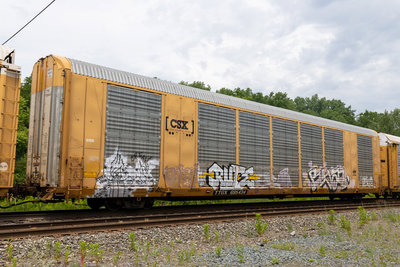 TTGX 695434