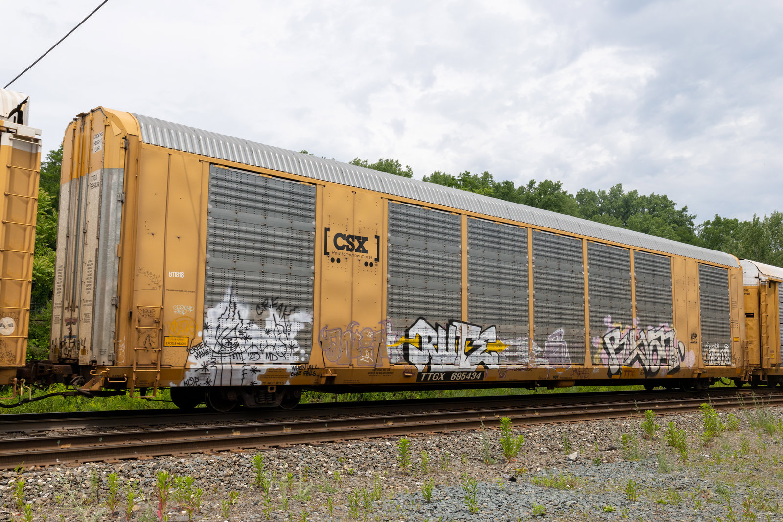 TTGX 695434