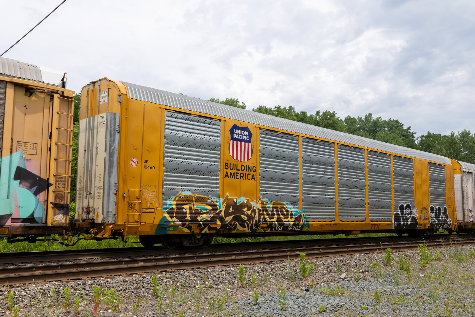 TTGX 699135