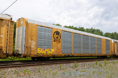 TTGX 822941