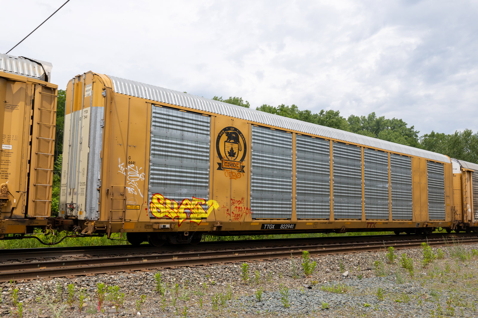 TTGX 822941