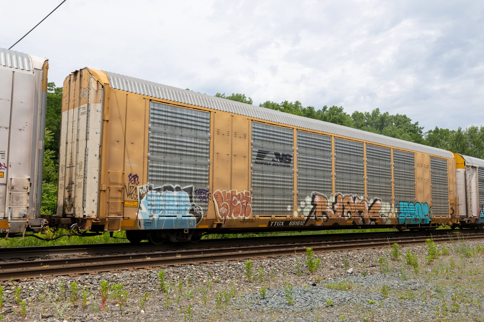 TTGX 691612
