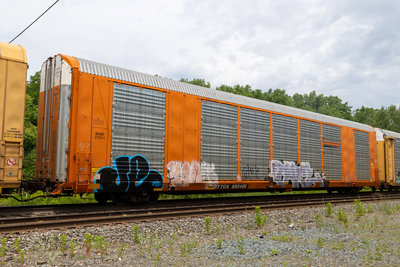 TTGX 693495