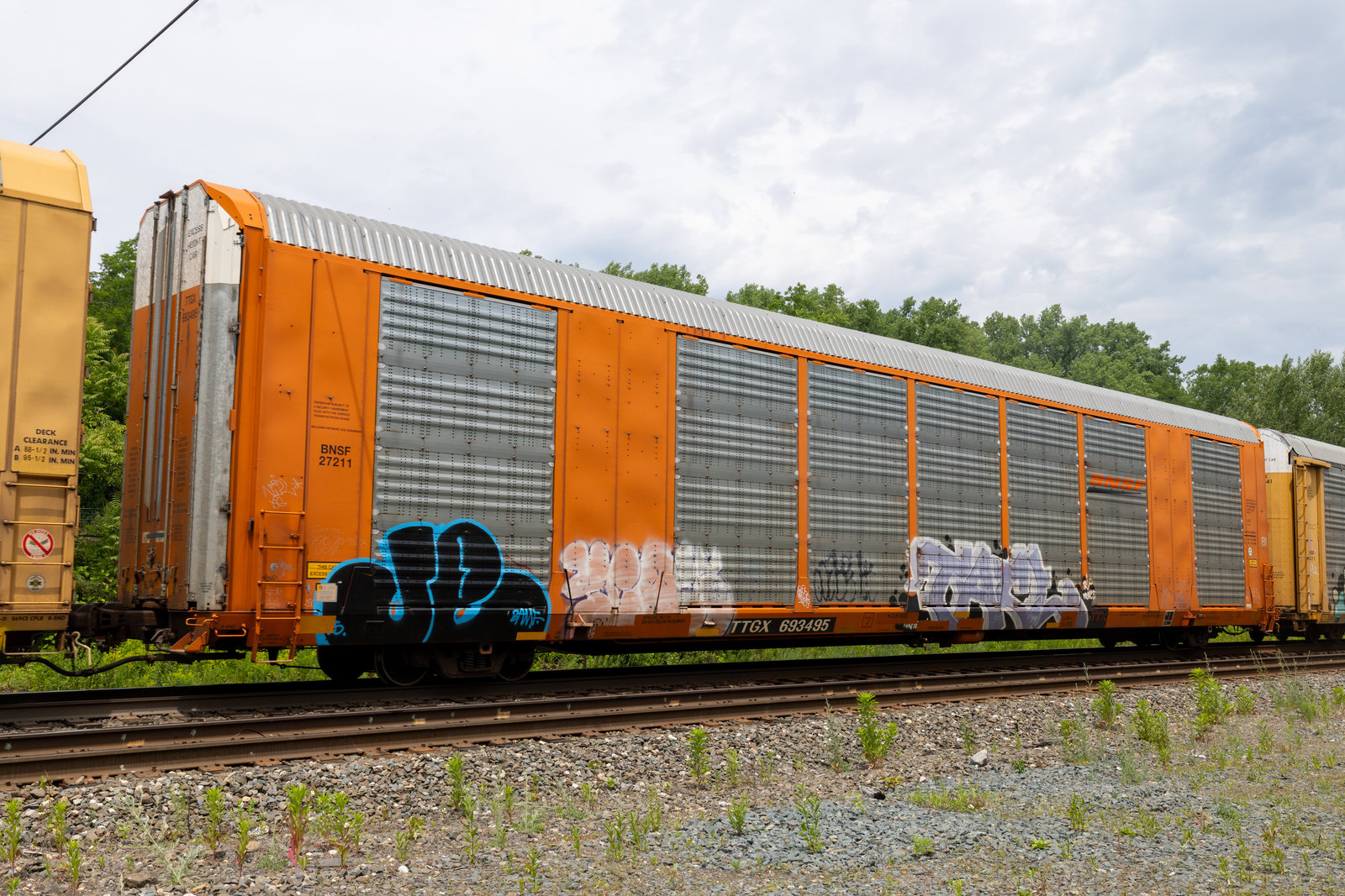 TTGX 693495
