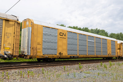 TTGX 824667